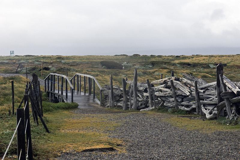 20071214 110658 D2X c3800x2500 v2.jpg - Bridge built over over the path (burrow) the penguins use to walk to the sea and nurse their young